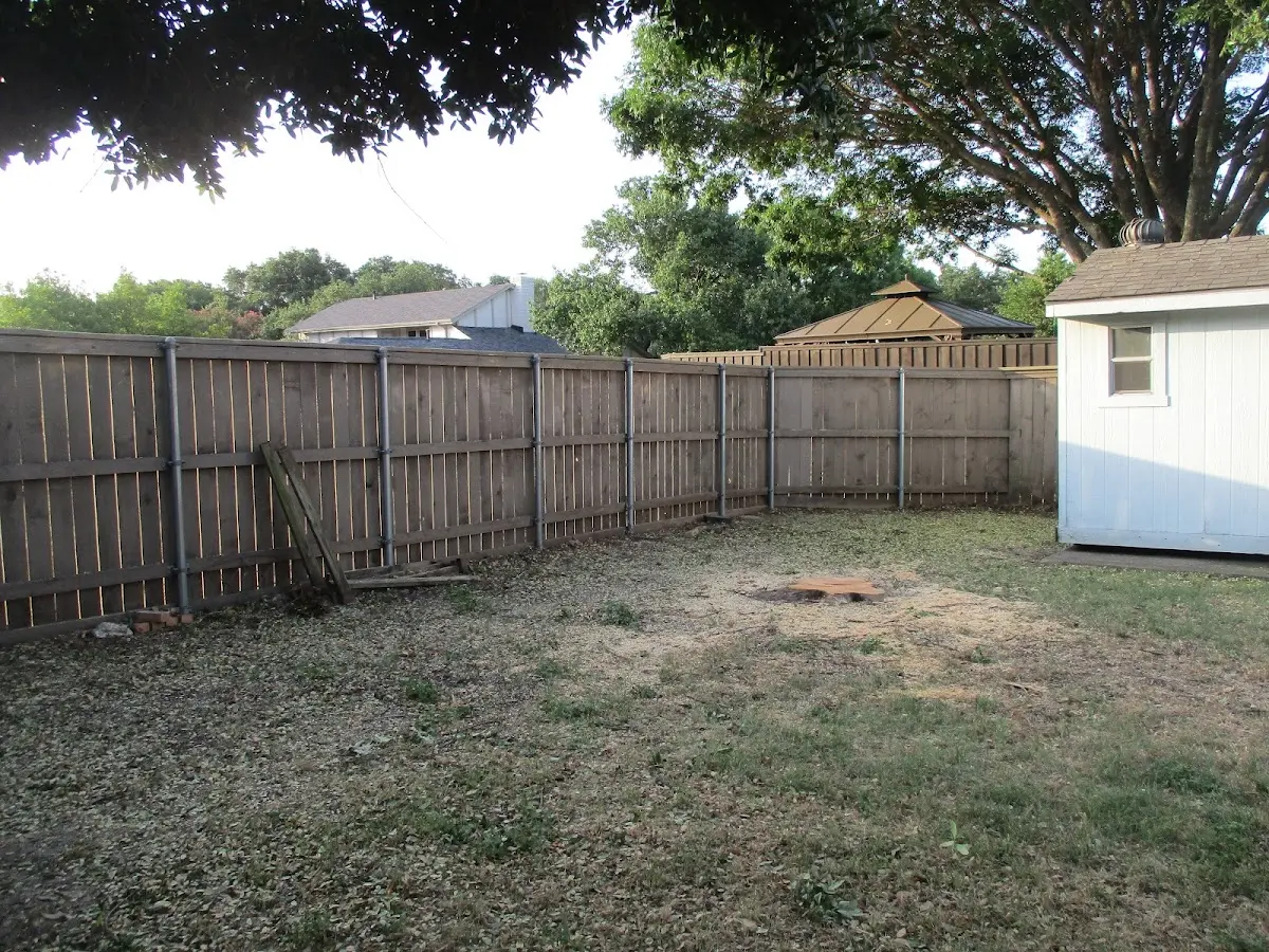 Cleared yard after professional tree removal in Renfrew